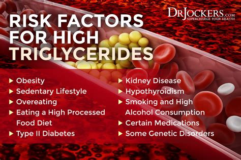 what does it mean when one has high triglycerides